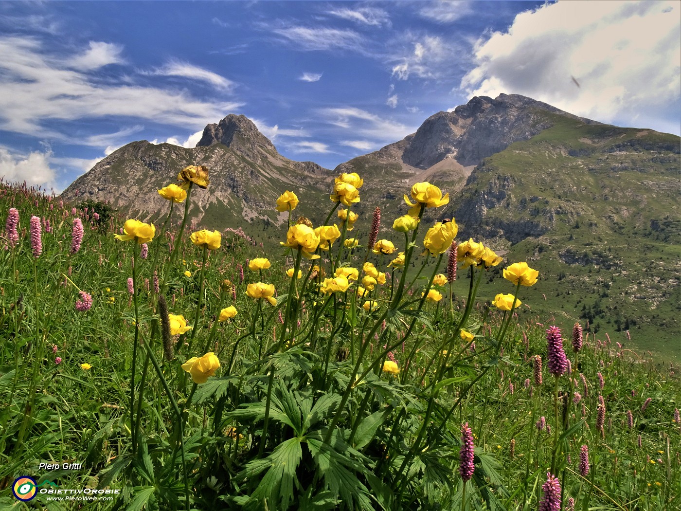 36 Trollius europaeus (botton d'oro) con vista in Arera-Corna Piana.JPG